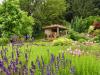 Garten der FeWo G. und R. Marx