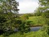 Ausblick von der Ferienwohnung Sinnblick