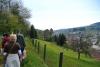 Gruppe von Wanderern am Burgweg
