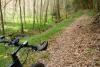 Mountainbike auf dem Walderlebnispfad