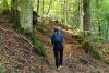 Wander:in auf dem Nonnenpfad