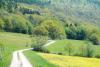 Wanderweg nach Gemünden