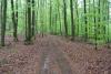 Birkenhainer Landstraße Wanderweg