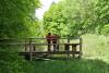 Steg am Walderlebnispfad
