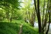 Wanderweg an der Sinn II